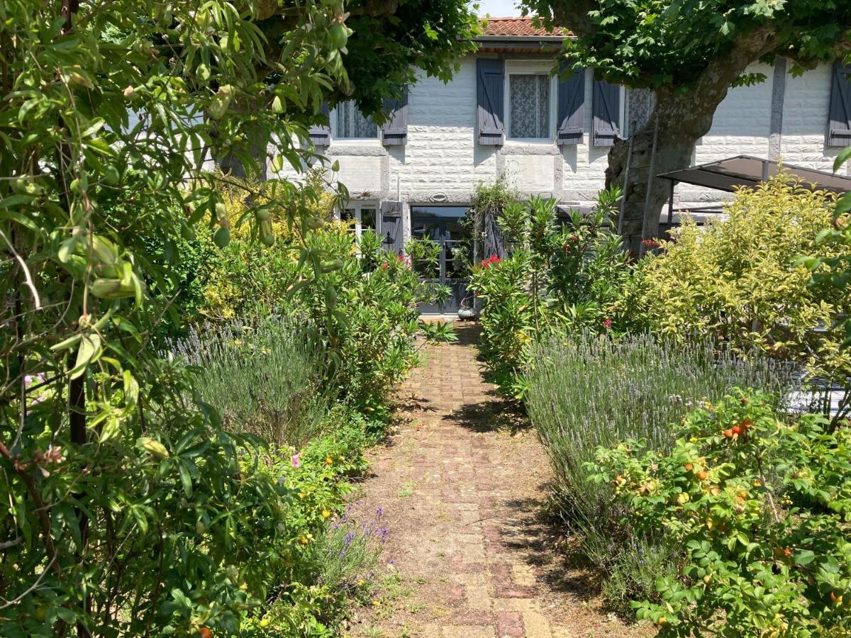 Appartement 2/3 Personnes A 10 Minutes De Contis Plage Saint-Julien-en-Born Εξωτερικό φωτογραφία